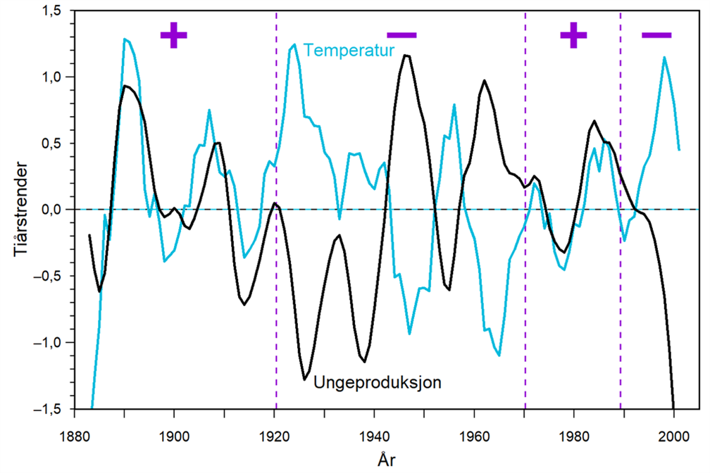 Figur 1: I perioder på 20 til 50 år varierte lundenes ungeproduksjon enten synkront (+) eller antisynkront (−) med havtemperaturen. Fortegnet skiftet tre ganger i løpet av 1900-tallet.