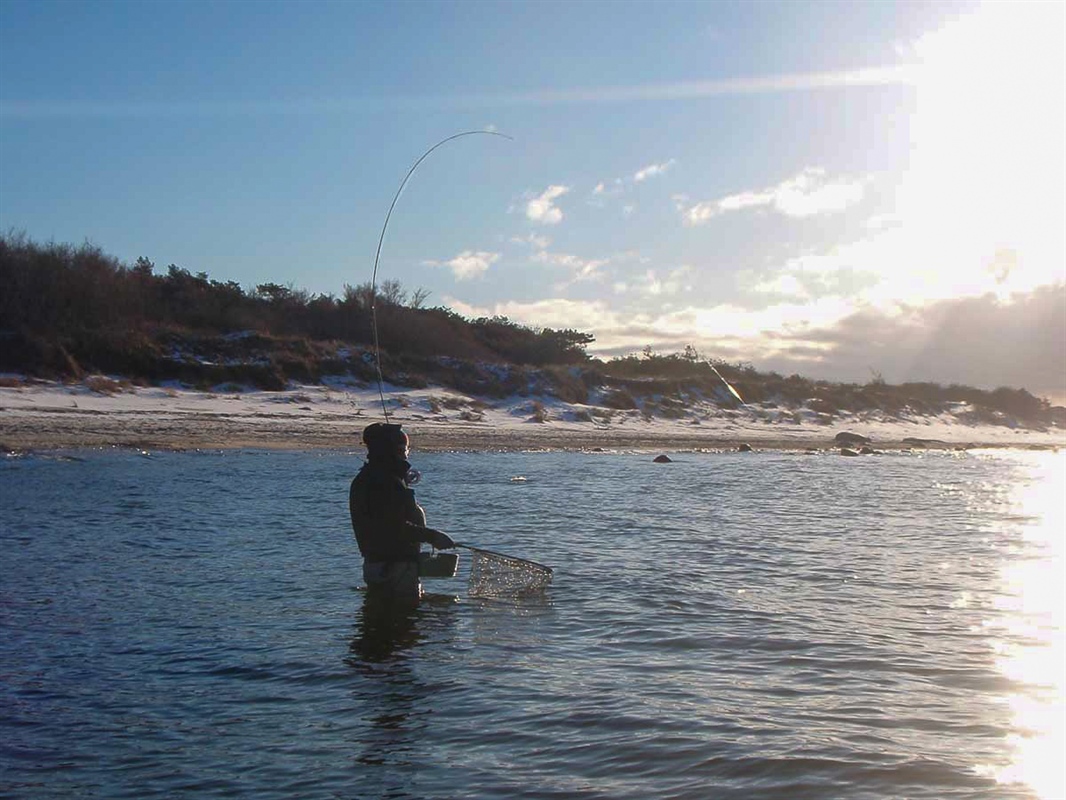 Mange fisker med stang fra land. Det er mest utbredt i Sør og Vest. Foto: Sofie Kjendlie Selvaag / NINA.