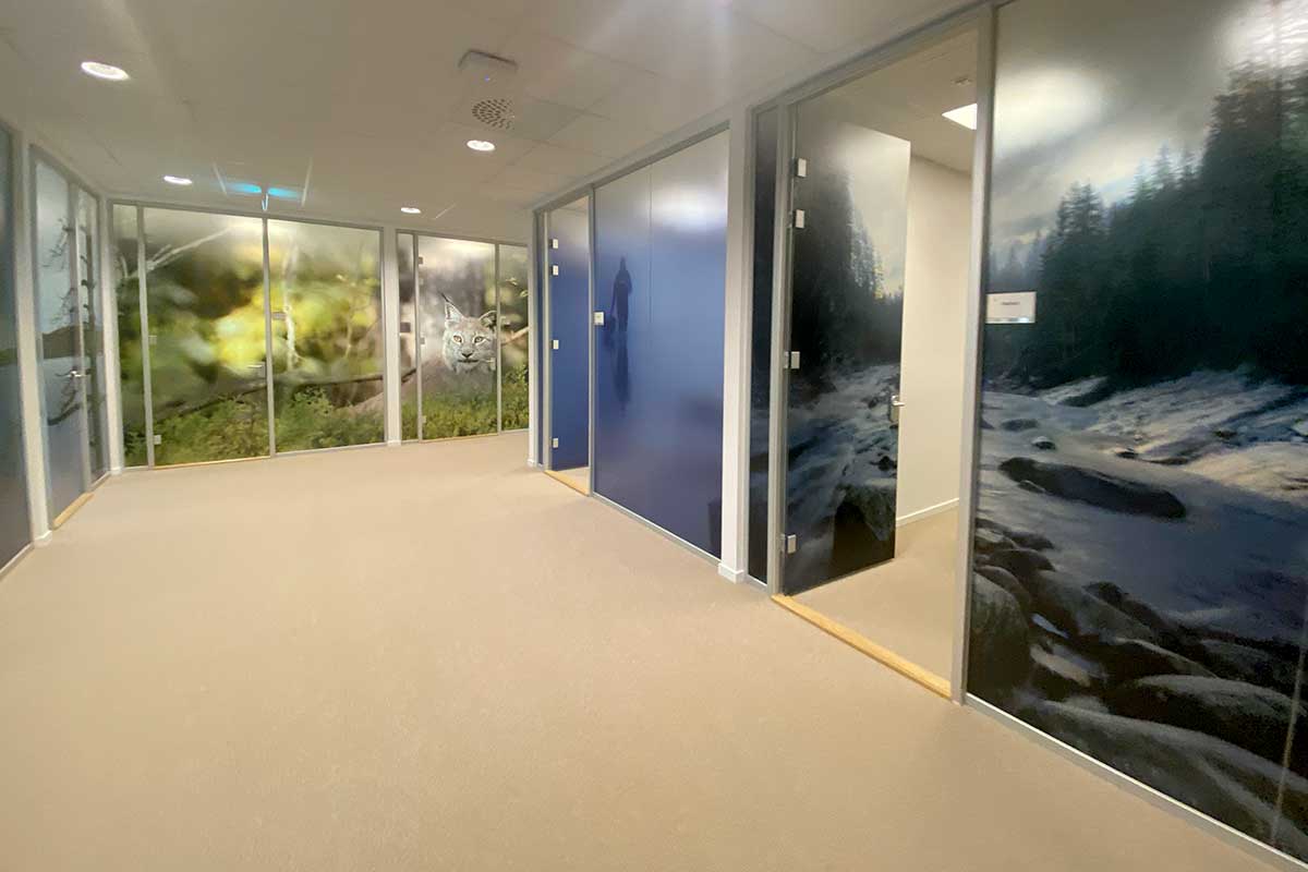 Alle glassvegger i lokalet er foliert med naturbilder tatt av de ansatte. Foto: Camilla Næss/NINA
