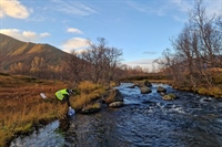 The samples of environmental DNA were collected by filtrating water from rivers all over Norway. Photo: Sonja Kristina Norum Johansen