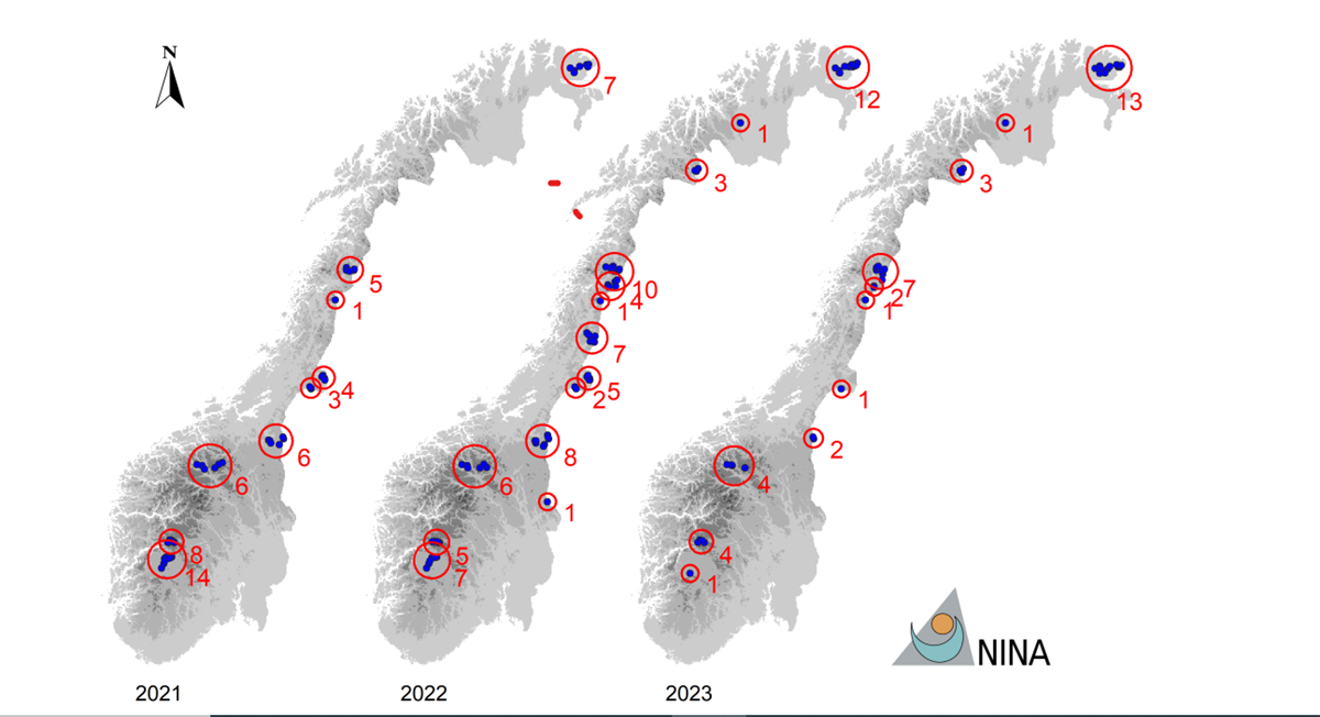 Kartet viser en oversikt over dokumenterte og antatte valpekull av fjellrev i 2021 (54), 2022 (72) og 2023 (39). Tallene på kartet angir antall kull i de ulike delbestandene. 