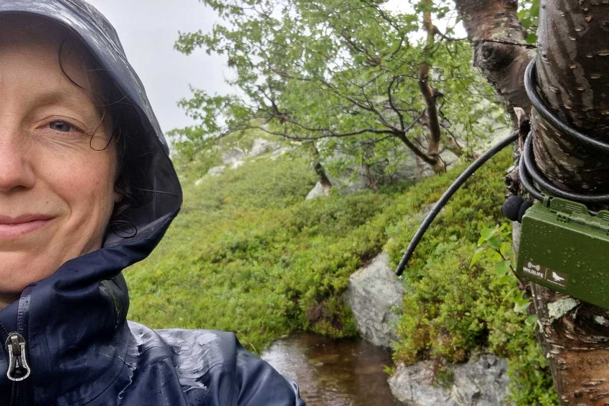 Som en del av prosjektet Sounds like Norway monterer NINA-forsker Rose Keller lydloggere i Rondane nasjonalpark. Disse skal måle støyforholdene, og kan si noe om lydkvaliteten. Foto: Rose Keller/NINA.   