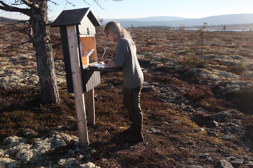 En besøkende i Rondane svarer på brukerundersøkelse. Foto: Vegard Gundersen / NINA.