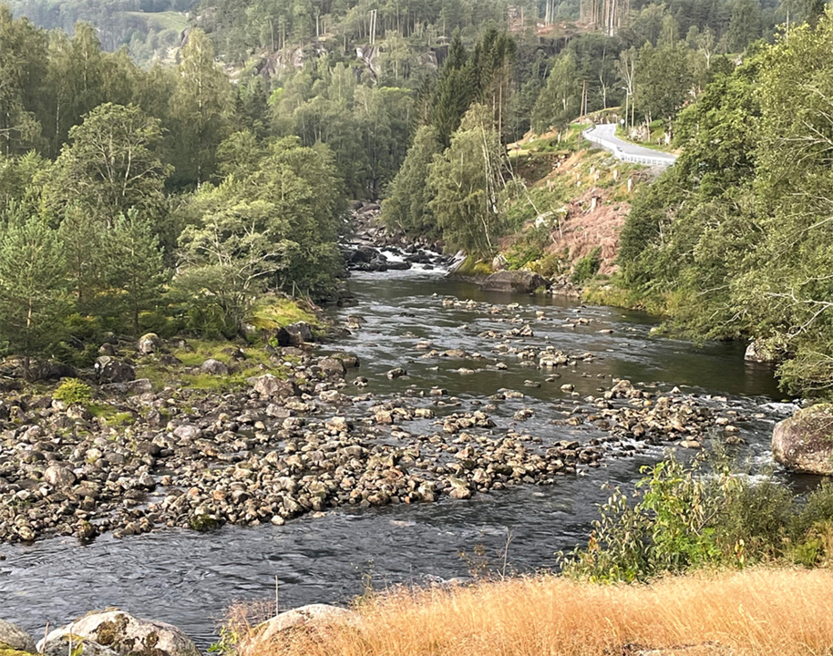 Pumping water from Suldalsvatnet to a reservoir in Brattlandsdalsåi will ensure that the river maintains adequate flow during dry periods, protecting spawning grounds for fish. 