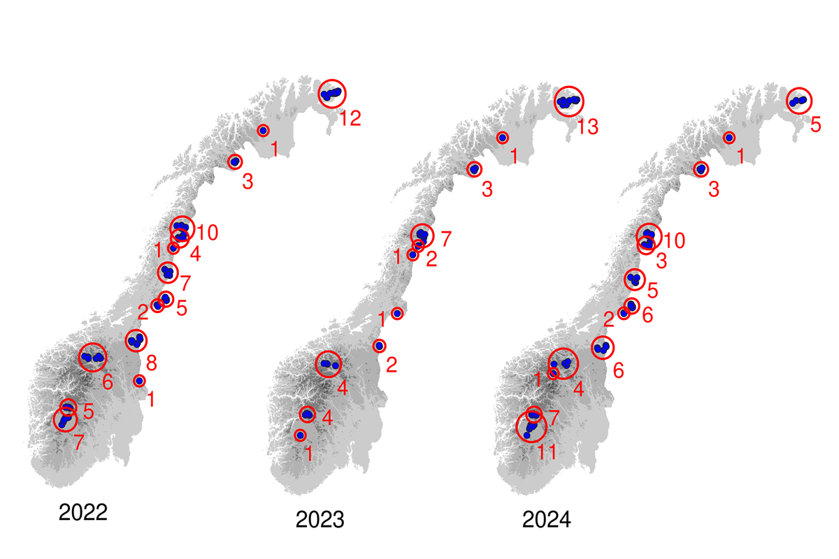 Kartet viser en oversikt over valpekull av fjellrev i 2022 (72), 2023 (39) og 2024 (64). Tallene på kartet angir antall kull i de ulike delbestandene. Kart: NINA