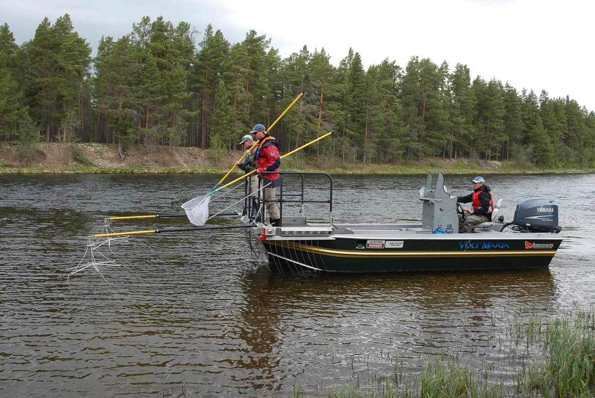 Elfiskebåten brukes til å kartlegge og overvåke fiskestammene i store elver. Foto: Jon Museth / NINA