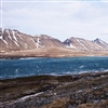 Isen på og rundt Svalbard tiner hurtig og bidrar til at landområdene blir varmere og grønnere. Her fra Linnévatnet. Foto: Jarle W. Bjerke