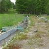 De to eksperimentelle elvene i elveparken på Ims ga forskerne muligheten til å undersøke hvordan økosystemet i elva ble påvirket når de satte ut rasktvoksende laks. Foto: Line Sundt-Hansen /NINA.