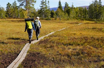 Peatland restoration and conservation – lessons from northern and central Europe
