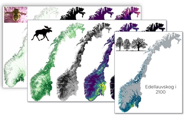 Har kartlagt nettverket av egnede leveområder for bier, elg og trær i Norge