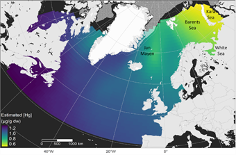 Seabirds reveal mercury distribution across the North Atlantic
