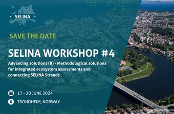 Experts from across Europe meet in Trondheim to discuss integrated ecosystem assessments