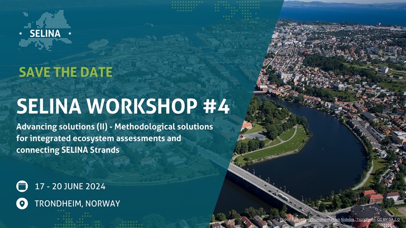 Experts from across Europe meet in Trondheim to discuss integrated ecosystem assessments