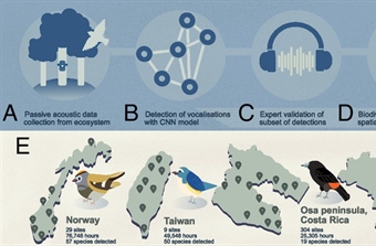 Detecting bird sounds across the globe to deliver reliable biodiversity insights