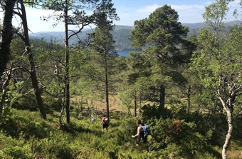 Skal gjøre det enklere for kommunene å bruke naturkunnskap i beslutninger