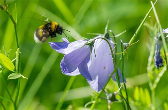 Funding Call Announcement: Strengthening Capacity Across the Science-Policy-Society Interface