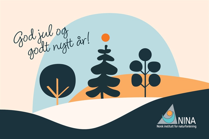 Gledelig jul