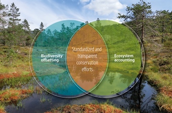 Connecting Ecosystem Accounting and Biodiversity Offsetting: A Path to Standardized and Transparent Conservation Efforts