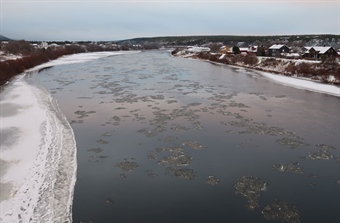 Vitenskapsrådet anbefaler at det ikke åpnes for sjølaksefiske i Finnmark