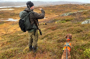 Nytt forskningssamarbeid skal bidra til bærekraftig jakt på lirype og skogsfugl