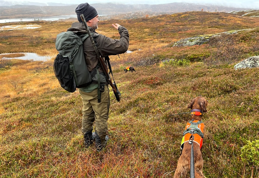 Nytt forskningssamarbeid skal bidra til bærekraftig jakt på lirype og skogsfugl