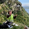 Tone Reiertsen at work high up on a bird cliff at Hornøya. Photo: Norwegian Institute for Nature Research