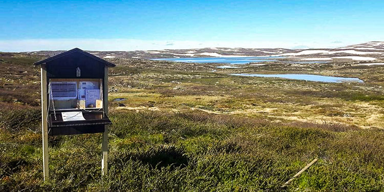Ny kunnskap om hvordan folk bruker norske nasjonalparker