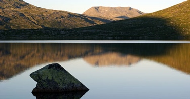 Utilstrekkelig dekning av biologisk mangfold i norske verneområder 