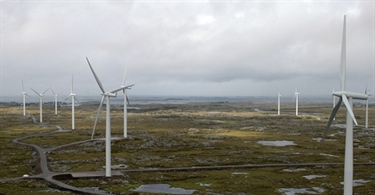 Verdenskonferanse om vindkraft og vilt