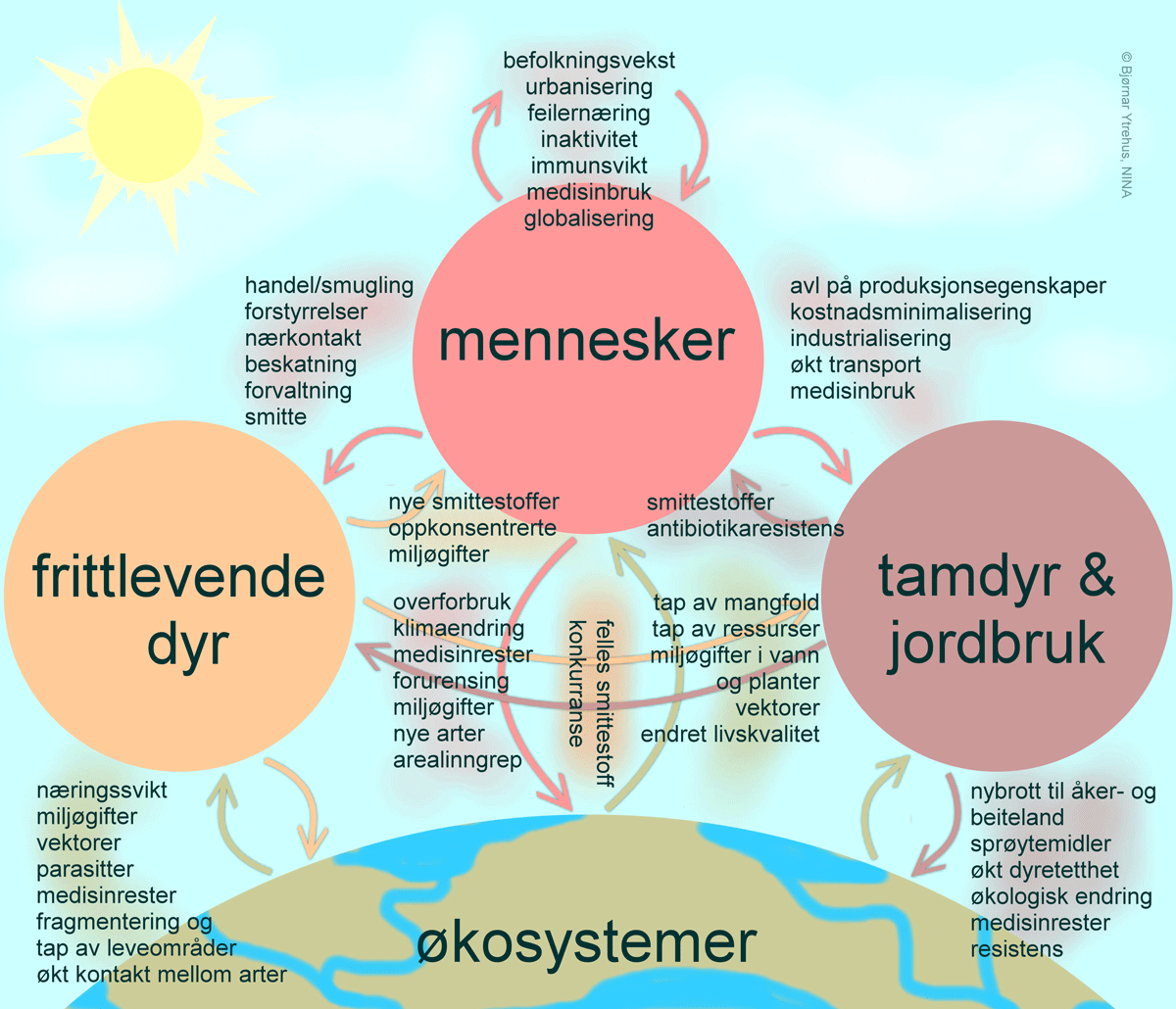""
