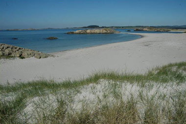 Sandstrender langs kysten er et eksempel på hotspot-habitater som er viktige for en rekke arter av spesialiserte insekter.